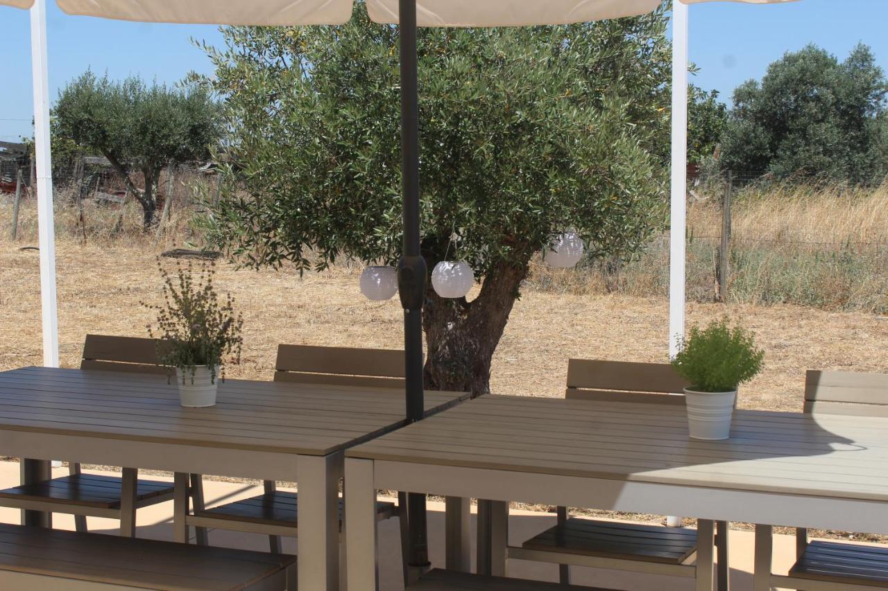 Casa Do Roxo - Eco Design Country House Santa Vitoria ภายนอก รูปภาพ
